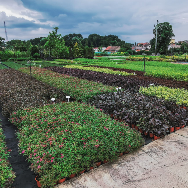 velkoobchod.jpg velkoobchod.jpg