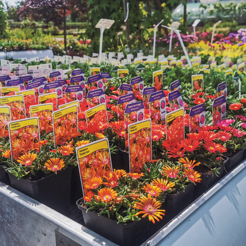 zahradnictvi.jpg zahradnictvi.jpg